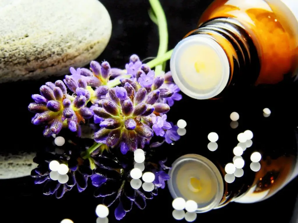 Naturmotiv zur homöopathischen Behandlung